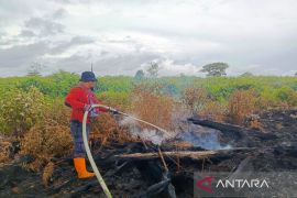 BPBD:  Kebakaran lahan di Aceh Barat meluas jadi 11,5 Hektare