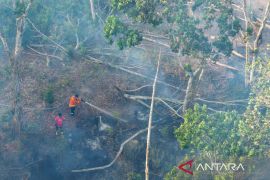 Otorita IKN: Penegakan hukum untuk kendalikan karhutla