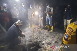 Wamenko Pangan buktikan efektivitas inovasi Kapolda Kalsel dinginkan gambut terbakar