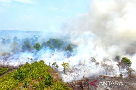 Menhut: Pemerintah andalkan operasi darat tangani karhutla gambut