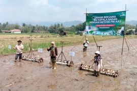 Pemkab Sleman mengoptimalkan irigasi perkuat ketahanan pangan