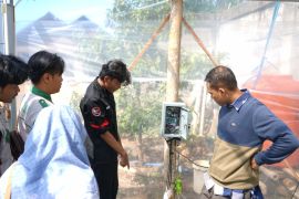 PPK Ormawa HMP PTI UMS gelar monev program Seboto Smart Farming