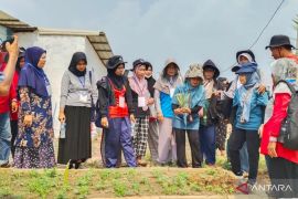 BPPMT Pekanbaru ajak transmigran perempuan jadi penggerak ketahanan pangan
