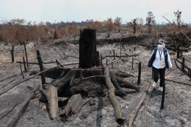 Menjaga Bukit Soeharto tetap  bernapas