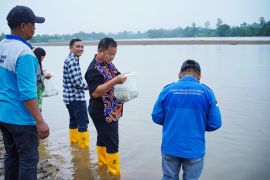 Pemkab Malinau nilai positif TJSL perusahaan dengan tebar benih ikan