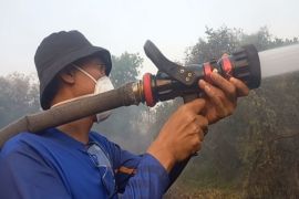 Bupati Banjar apresiasi tim gabungan bersama masyarakat tangani karhutla