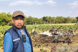 Pesawat aerosport Jatuh dan terbakar di Blora