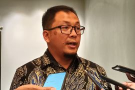 PLN: Titik pengeboran PLTP Gunung Ungaran bukan di kawasan Candi Gedongsongo
