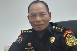 500 hektar sawah di Merauke gagal panen akibat kemarau berkepanjangan