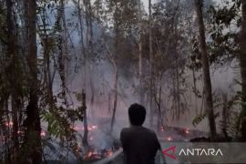 Dishut: Dedikasi Manggala Agni dan MPA redam karhutla  di Kutai Barat