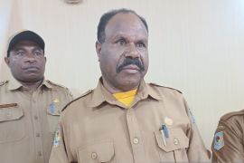 Pemprov Papua Pegunungan perkuat hortikultura topang ketahanan pangan