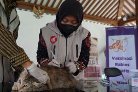 Pemkot Yogyakarta siapkan 3.000 dosis vaksin pertahankan nol rabies