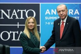 Erdogan serukan penghapusan  hak veto Dewan Keamanan PBB