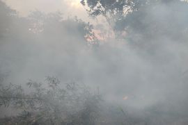 Pakar ITB: 300 ton karbon lepas ke atmosfer per hektare gambut terbakar