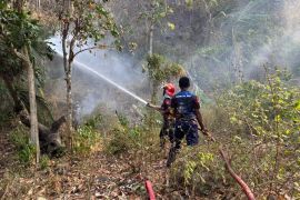 BPBD tangani karhutla seluas 19 Hektare di Kabupaten Sigi