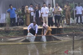 BPBAT dapat dukungan swasta kembangkan sektor perikanan di Jambi