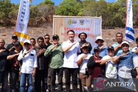 Pemkab Tanimbar mulai pembangunan PLTS Terpadu penuhi kebutuhan listrik warga empat desa