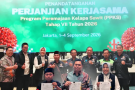 Bank Sumsel Babel perkuat ekosistem perkebunan lewat kerja sama peremajaan sawit 2026