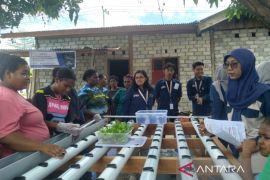 TEP Unair kenalkan hidroponik kepada warga Kampung Aurmios Manokwari