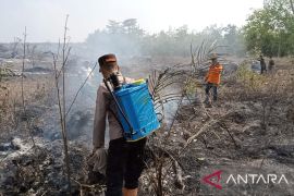 Tim Satgas padamkan karhutla 8,5 hektare di Desa Merbau Ogan Komering Ulu