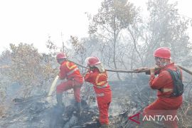 Manggala Agni padamkan karhutla di Gelumbang Muara Enim