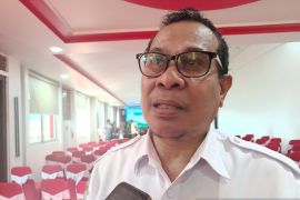 BMKG sebut terdapat 2.700 titik api di Papua Pegunungan
