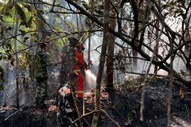 Pemkab Bangka Barat-TNI perkuat edukasi cegah karhutla