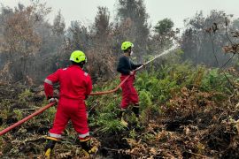 PT Timah-Group MIND ID tangani karhutla di Kalimantan Barat