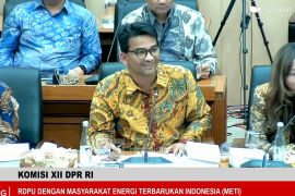 METI: Kepastian serapan dan harga penting bagi investasi EBT