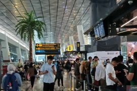 Soekarno-Hatta Airport resumes flights as volcanic ash clears