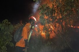 BPBD laporkan 427 hektare terdampak kebakaran hutan-lahan Poso