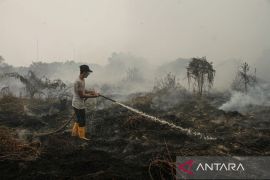 Akademisi UPR sebut tata air jadi kunci cegah kebakaran lahan gambut