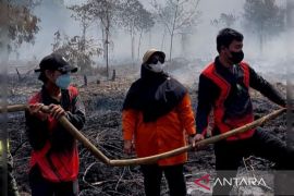 Kemlu: Koordinasi kawasan diintensifkan atasi dampak asap karhutla