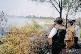 Kecamatan Kertapati jadi perhatian serius Pemkot Palembang, terkait karhutla