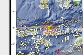 Info gempa hari ini baru saja M5 guncang Manggarai, NTT