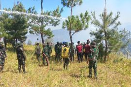BMKG: Empat kabupaten di Sulut kategori awas kekeringan meteorologis