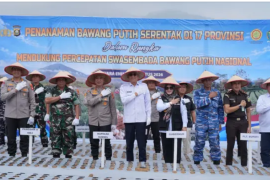 Pemkab Muara Enim dan Kapolda Sumsel tanam bawang putih serentak di Semende Darat Tengah