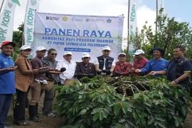 PUSRI dan Kementerian Pertanian bersinergi perkuat daya saing kopi arabika Kintamani di Pasar Global