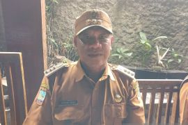 Mimika Timur kelola anggaran padat karya Rp3 Miliar