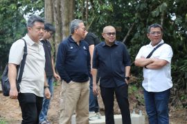 Semen Baturaja pasok material pembangunan pagar konservasi gajah Way Kambas sepanjang 138 Km