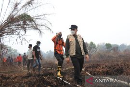 West Kalimantan intensifies efforts to curb forest fires