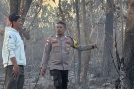 Polres Tanimbar berhasil padamkan titik api kebakaran hutan