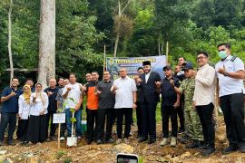 Galapagos Luncurkan Festival Tanam Hulu di Padang, Targetkan Penanaman 60 Ribu Pohon