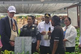 Kedubes Inggris dan Pemprov Papua luncurkan peta jalan kakao