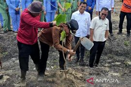 Pemkab Natuna bersama Kodim 0318 tanam 1.000 bibit pohon kemiri