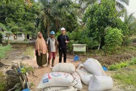 Apical dukung produktivitas peternak binaan di Dumai melalui pemanfaatan bungkil inti sawit