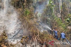 Satgas Karhutla padamkan 44 titik api di Teluk Wondama