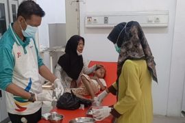Tiga warga tertimpa pohon saat melintas di lokasi Karhutla