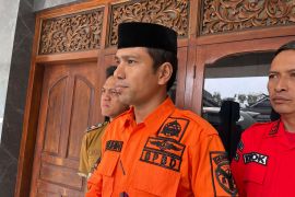 Karhutla di Batang Hari capai 678 hektare