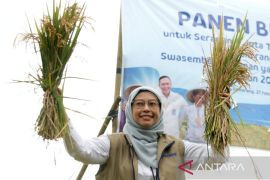 KPK panggil Kepala Bulog Jateng dan 37 saksi kasus bansos beras